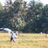 "Freedom's Sky" Kite Festival at Homagama (2023-08-20)